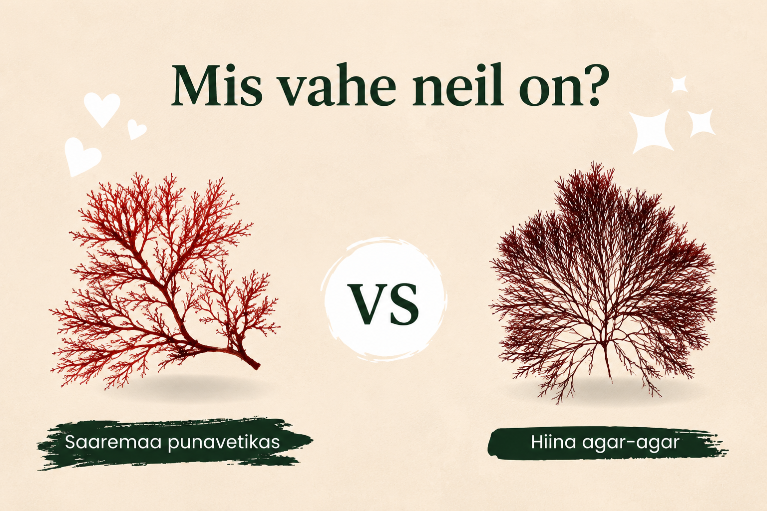 Miks eelistame Saaremaa punavetikat Hiina agar-agarile?